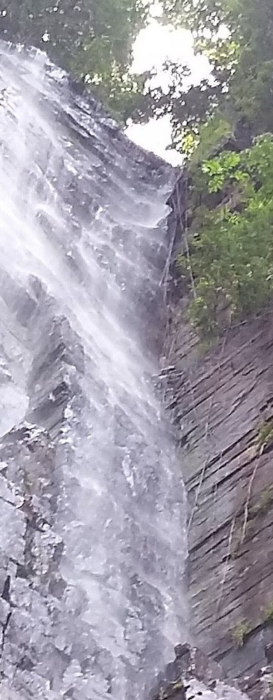 la-cascade-de-dindefelo - Copy