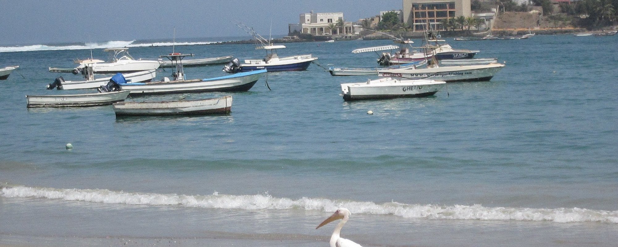 senegal (1)