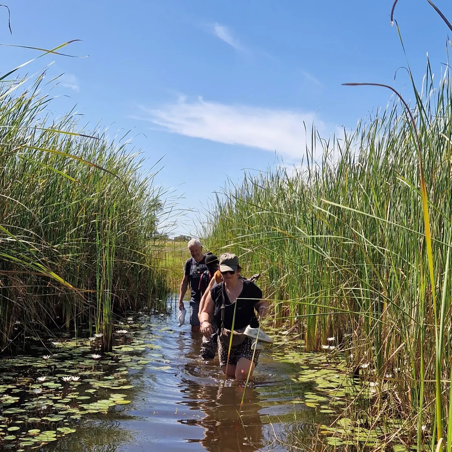 405743403_829013205774168_3786863042002356174_n